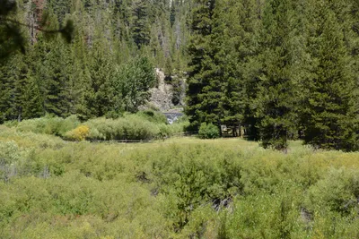 DSC_3737 (Large).JPG